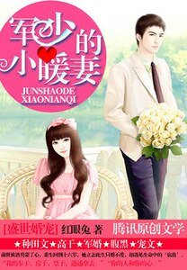 盛世婚寵:軍少的小暖妻