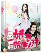 隱婚霸道總裁:嬌妻,二胎生一對