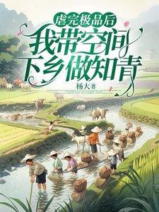 虐完極品後,我帶空間下鄉做知青
