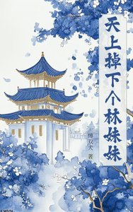天上掉下個林妹妹