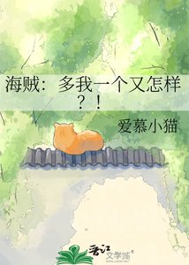 海賊:多我一個又怎樣?!