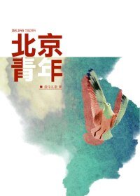 (BL/全職高手同人)北京青年